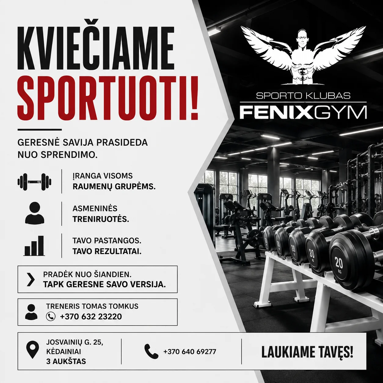 Fenixgym
